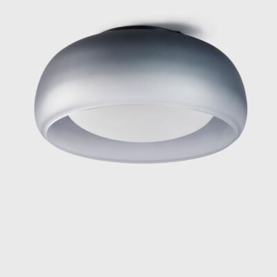 Jellyfish Ceiling Light by Carpyen